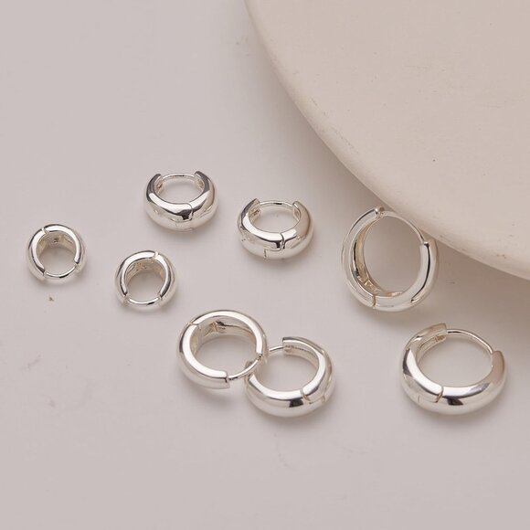 Trendy silver hoop earrings set with multiple sizes for women, hypoallergenic, l - Picture 6 of 7